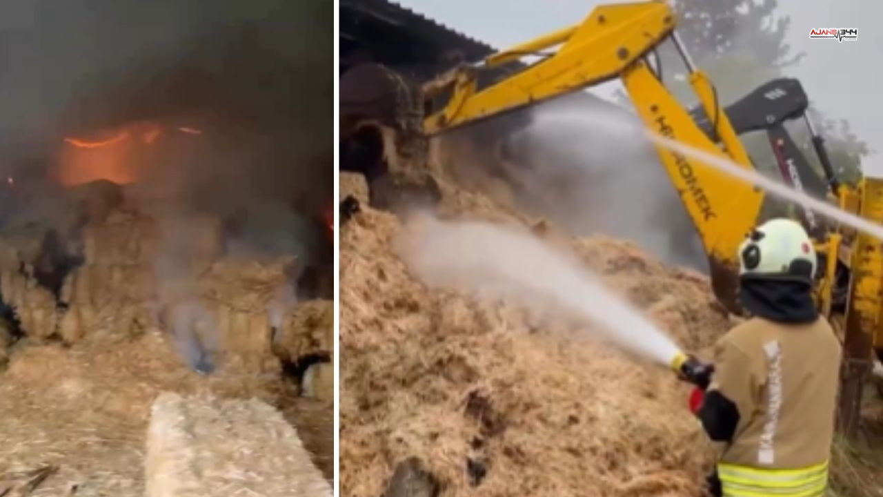 Kahramanamraşta Samanlık Yanıgnı Ajans344 (1)