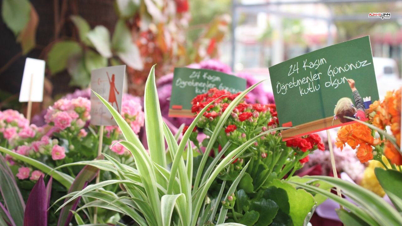 Kahramanmaraş’ta Atanamayan Öğretmen Çiçek Fiyatlarını Düşürdü (1)