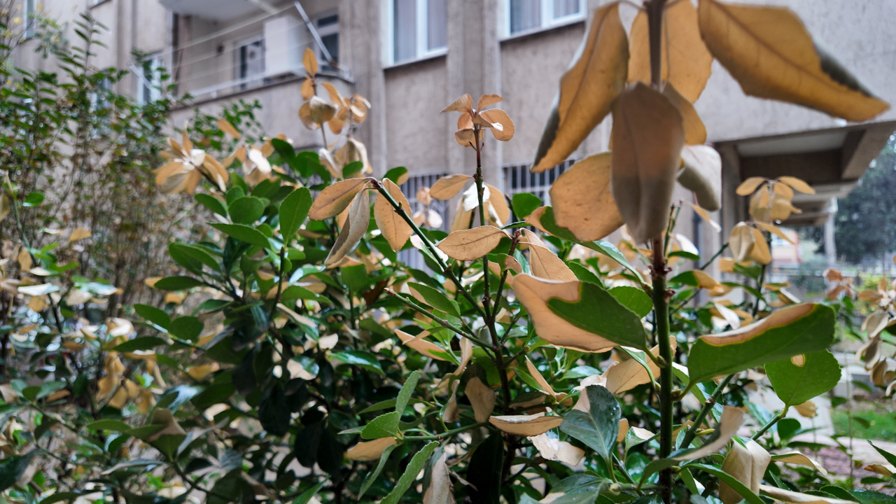 Kahramanmaraş'ta Beklenen Yağış Etkili Oldu-1