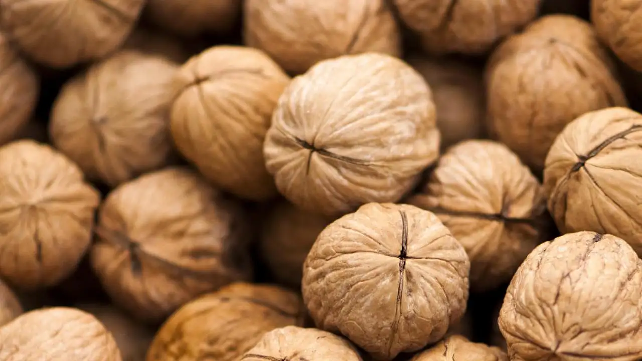 Kahramanmaraş'ta Bunu Yapan Çok Kazanıyor Küçük Tarlalar Büyük Gelir Sağlıyor!1