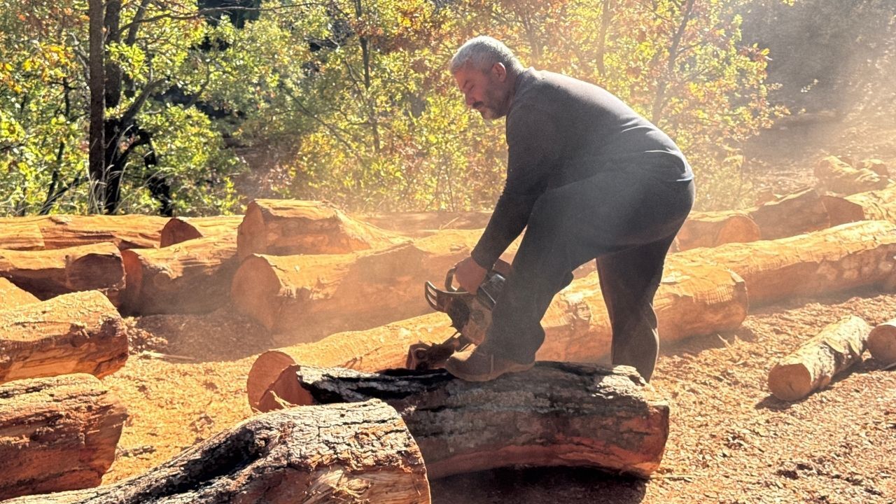 Karı Koca 35 Yıldır Ormanlarda Damgalanan Ağaçları Kesiyorlarajans344 (1)