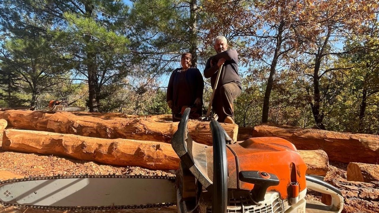 Karı Koca 35 Yıldır Ormanlarda Damgalanan Ağaçları Kesiyorlarajans344 (3)