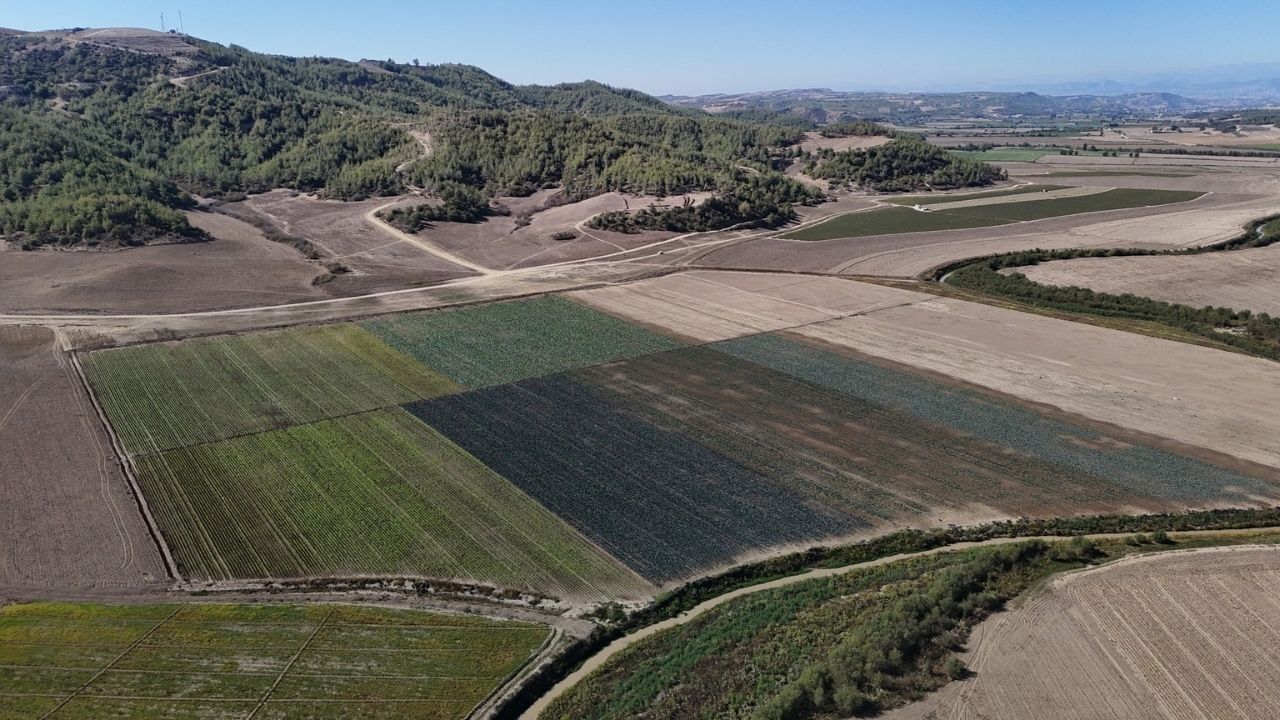 Kuraklığın Vurduğu Seyhan Baraj Gölü'nün Çevresi Tarım Arazisi Oldu Ajans344 (1)