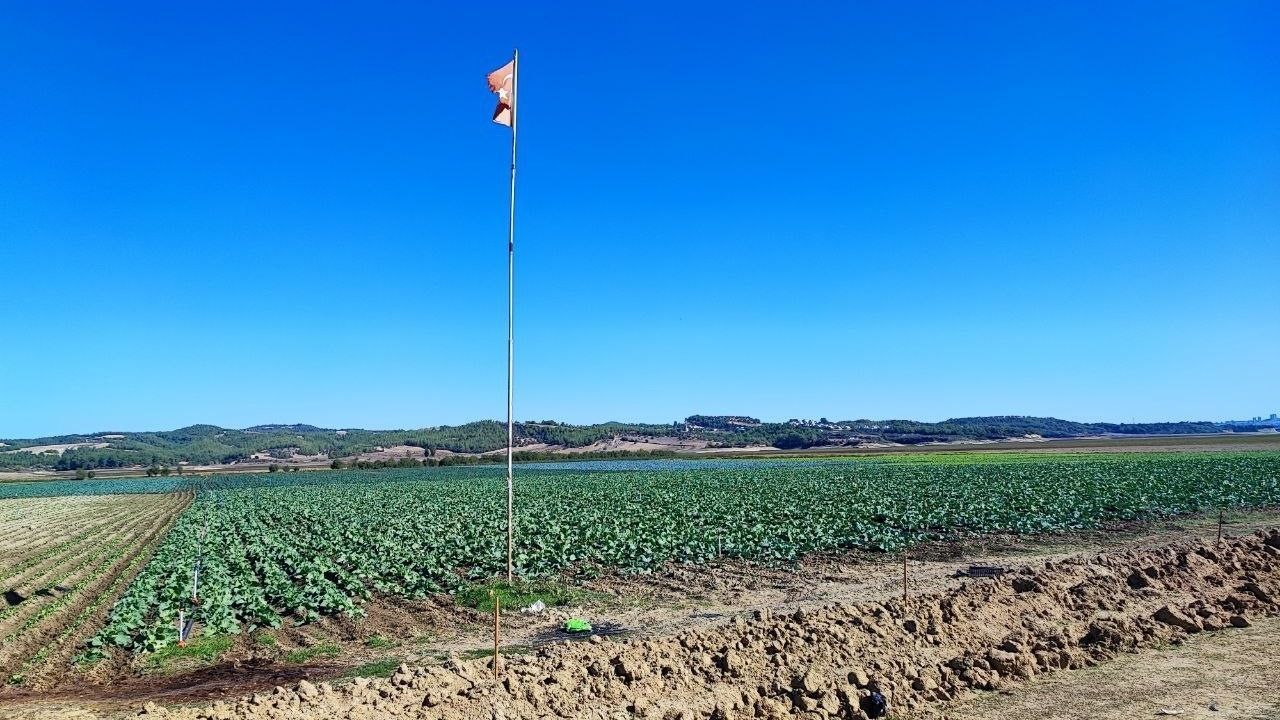 Kuraklığın Vurduğu Seyhan Baraj Gölü'nün Çevresi Tarım Arazisi Oldu Ajans344 (3)