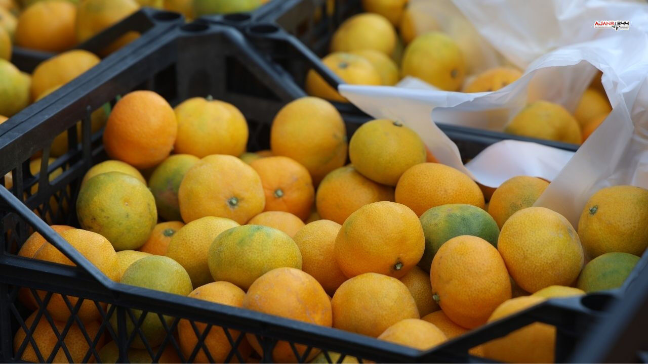 Mandalina 2 Tl Ye Düstü Ajans344 (1)