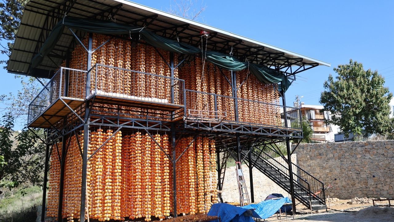 Minnetli Köyü Kuru Hurma Üretiminde Türkiye Birincisi Ajans344 (2)