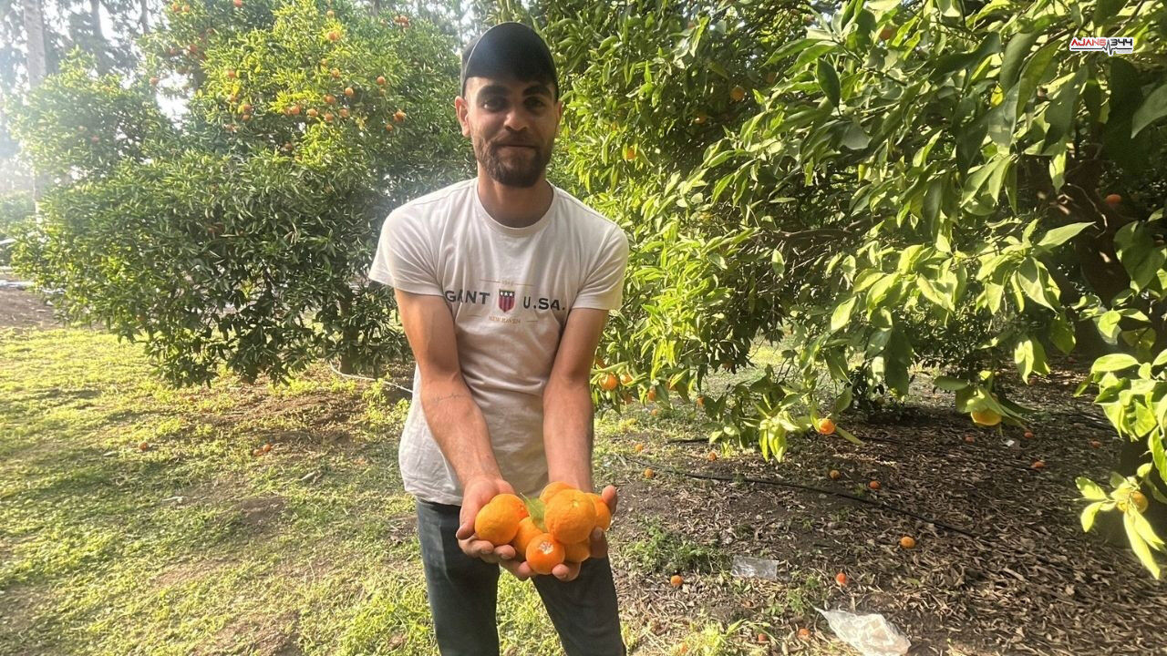 Narenciye Festivali Ajans344 (1)