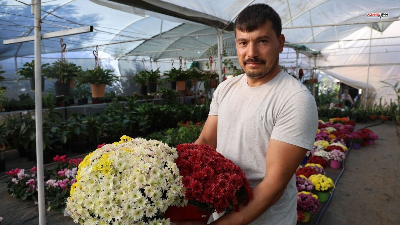 Ögretmenler Günü Buket Yerine Saksı Tercih Ajans344 (1)
