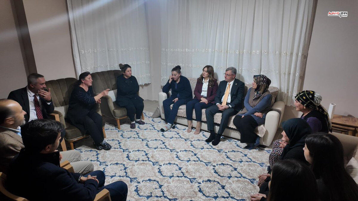 Snaplytics.io Photo 2 (16)