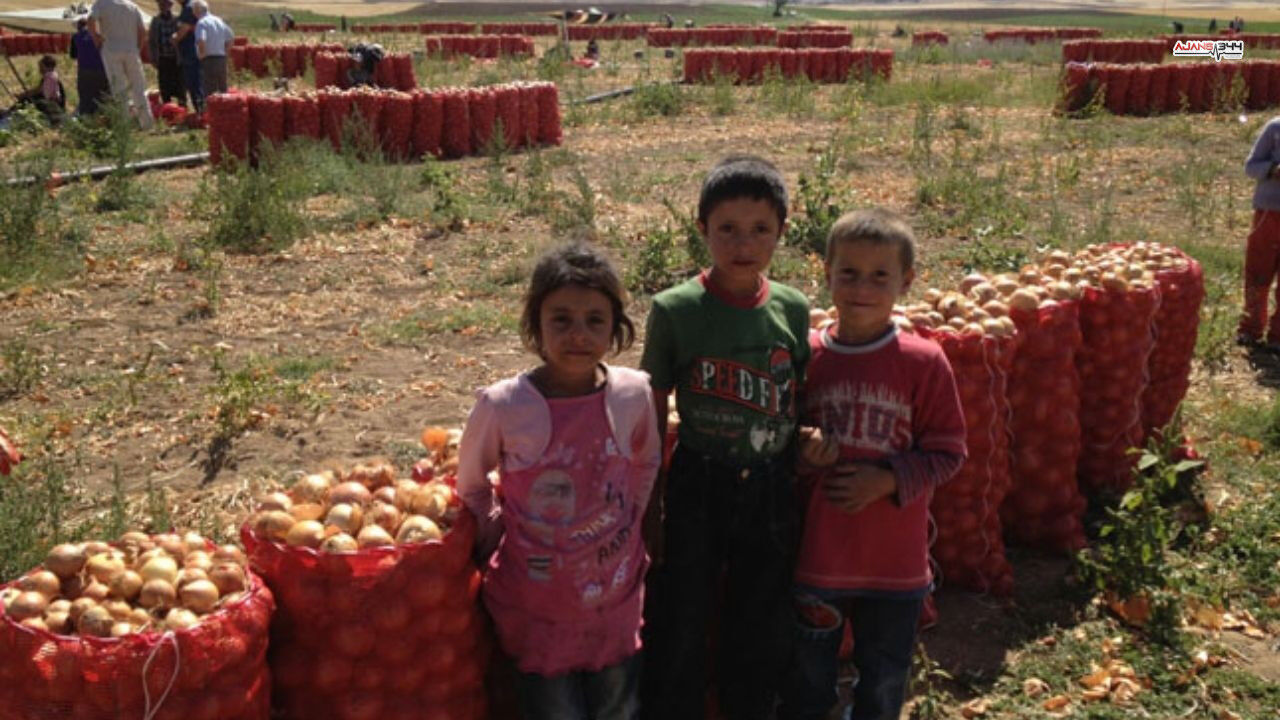 Türkiye'de Çocuk İşçiliğine Sıfır Tolerans (4)