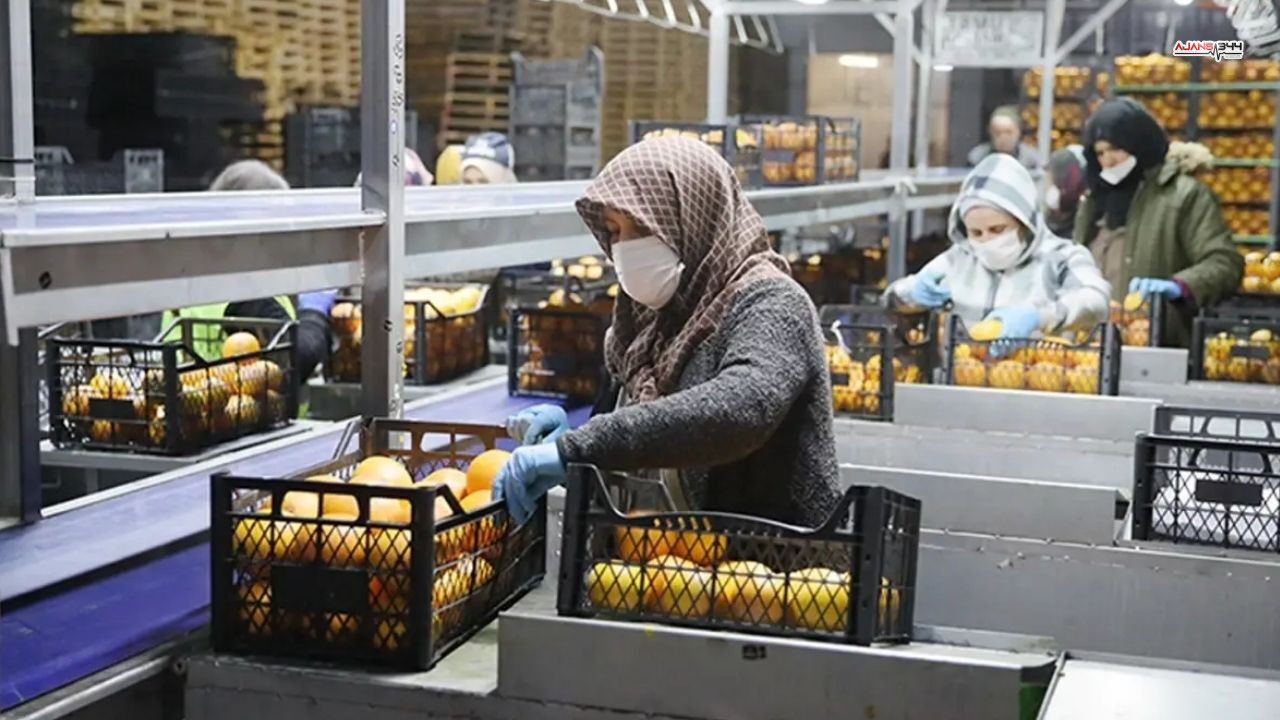 Türkiye'nin Gıda Devi İflasın Eşiğinde 25 Ülkeye İhracat Durma Noktasında (1)