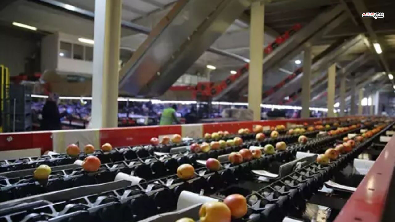 Türkiye'nin Gıda Devi İflasın Eşiğinde 25 Ülkeye İhracat Durma Noktasında (2)