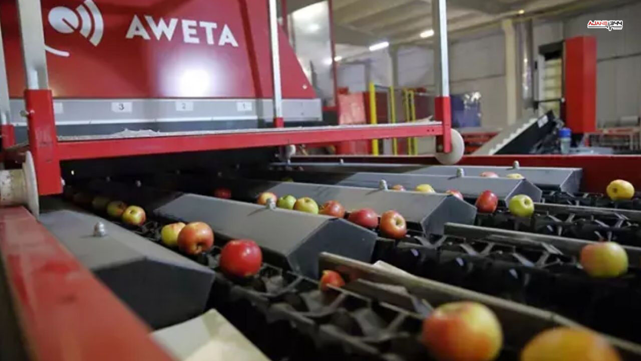 Türkiye'nin Gıda Devi İflasın Eşiğinde 25 Ülkeye İhracat Durma Noktasında (3)