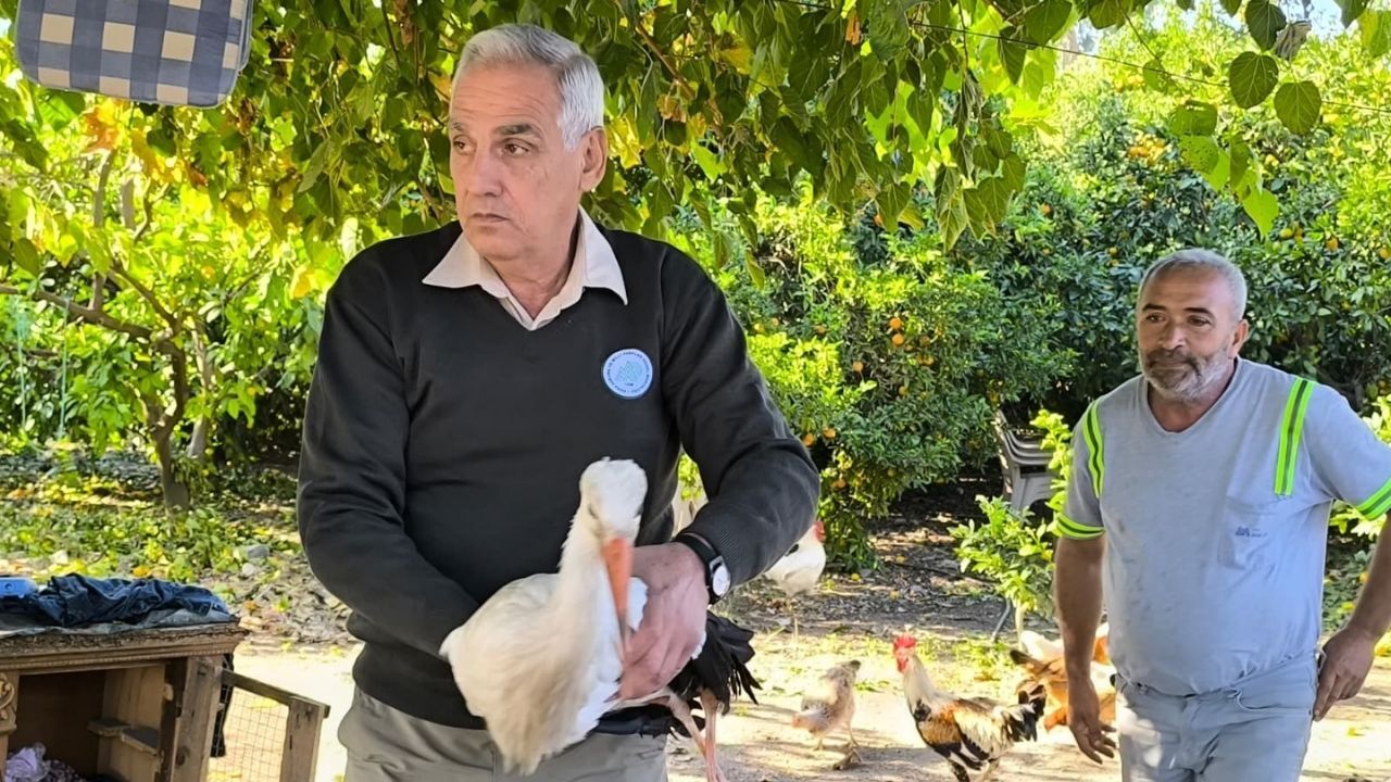 Yaralı Leylek Yardım Ajans344 (1)