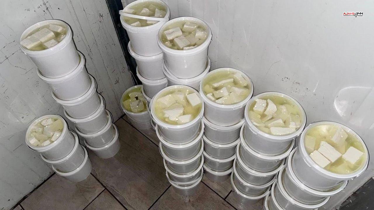 Yogurt Imha Peynir Ajans344 (1)