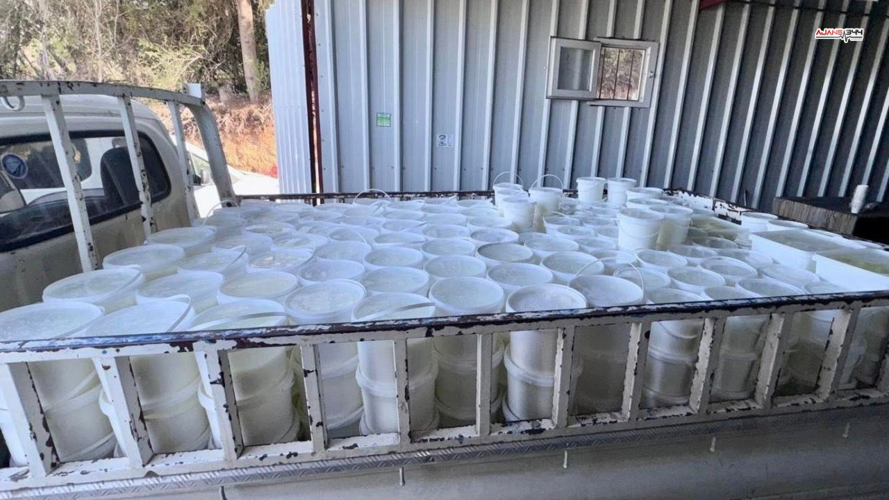 Yogurt Imha Peynir Ajans344 (2)