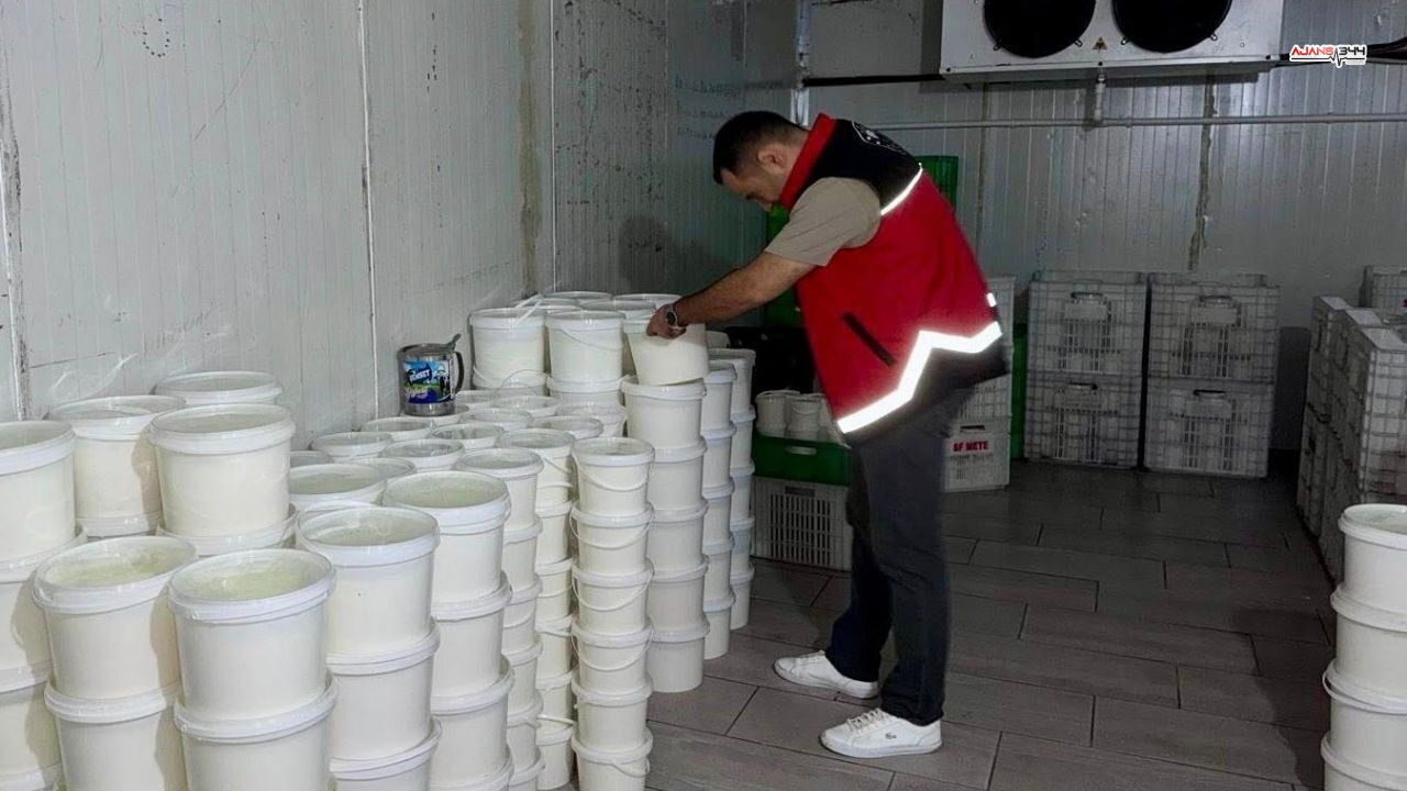 Yogurt Imha Peynir Ajans344