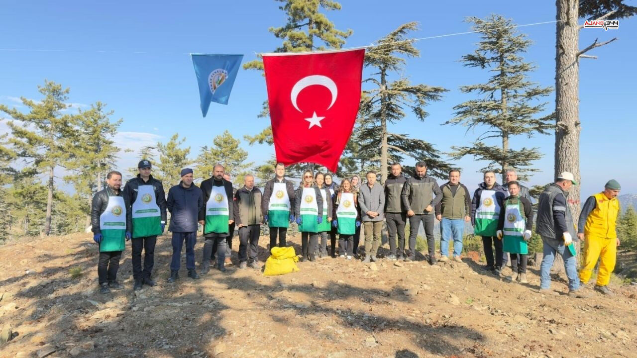 50 Ton Sedir Tohumu Ekildi Ajans344 (1)