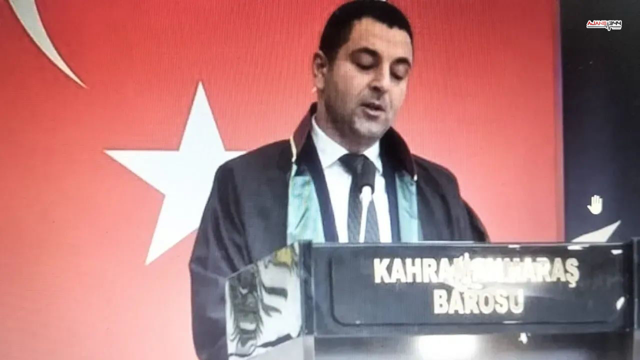 500 Tane Kedi Klübesi Yapıldı Ajans344 (4)