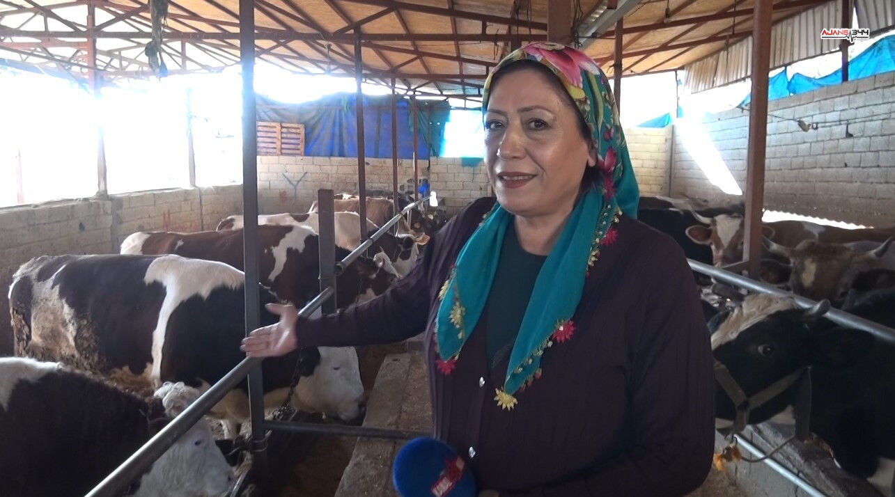 62538939 4411 47Fc 8971 B88E0Bc52A15