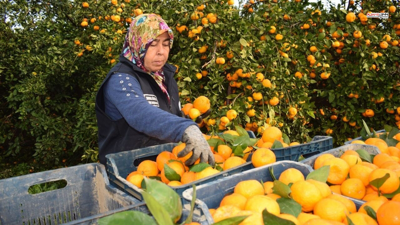 Arda Güüelrrrrrrrrrrrrrrrrrrrrrrrr (2)