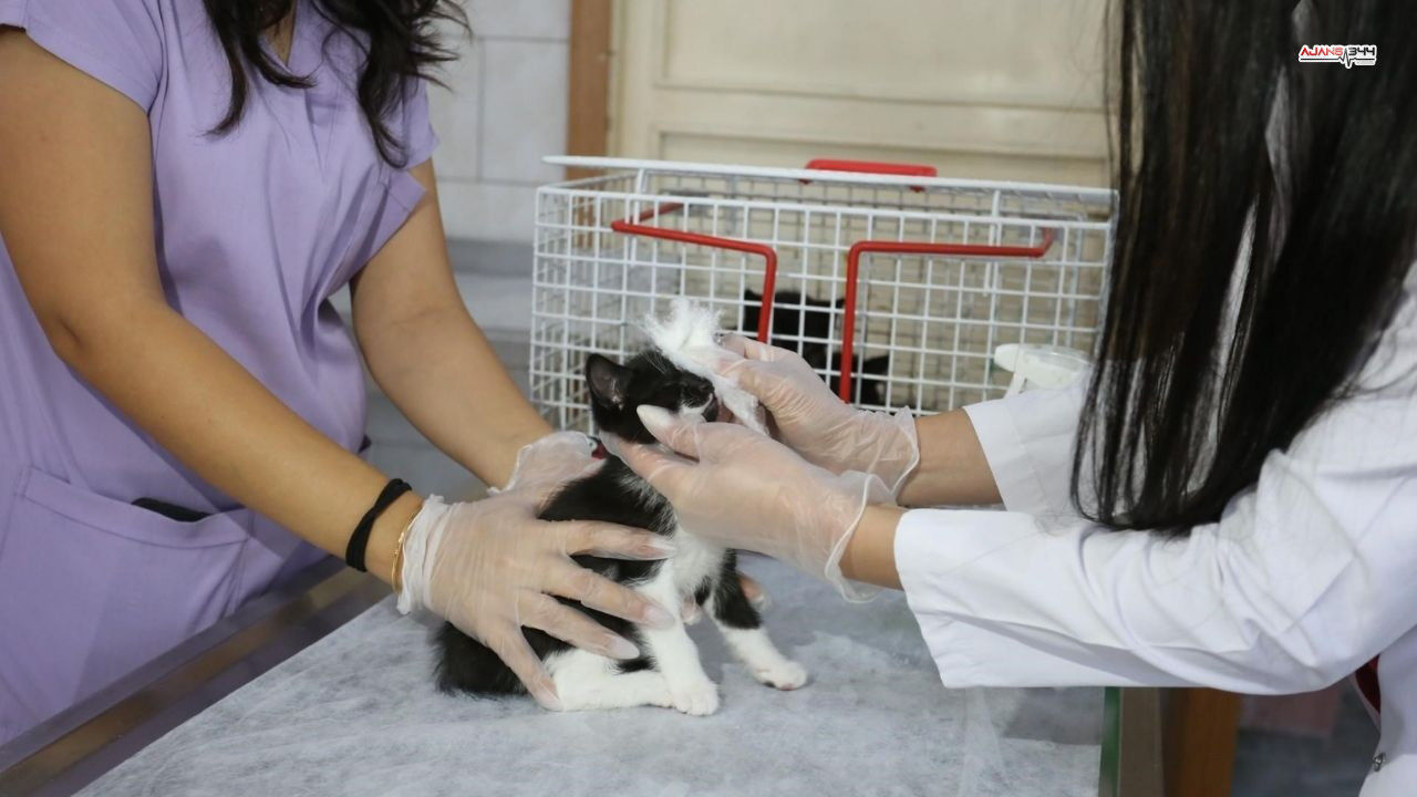 Belediye Çalısanlarına Saldırı Ajans344 (1)