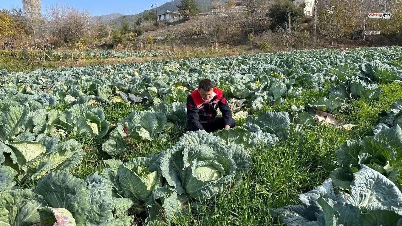 Brann Fenerbahçe Maçında Kimler Eksik Muhtemel İlk 11 Belli Oldu!-1