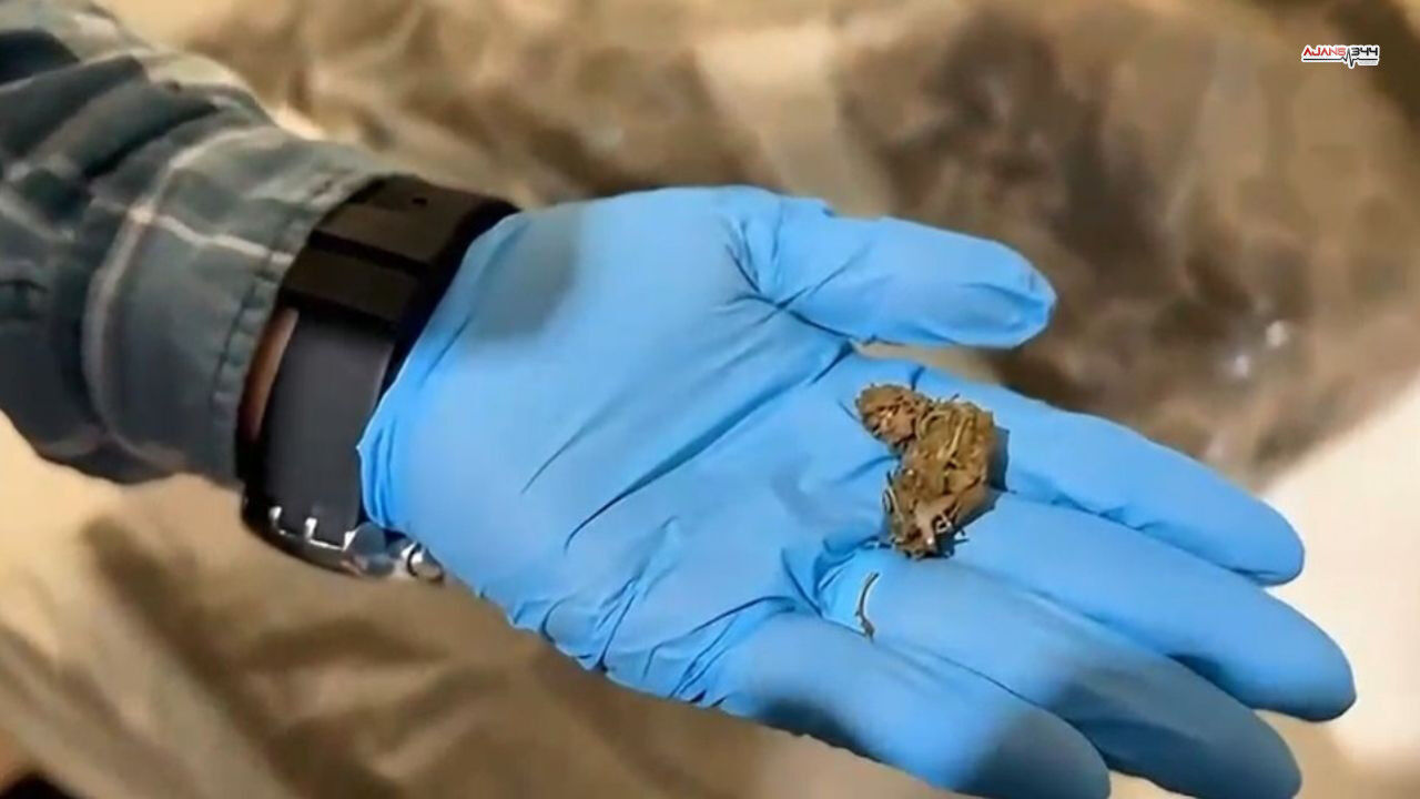 Büyük Metafatamin Ele Geçirildi Ajans344 (2)