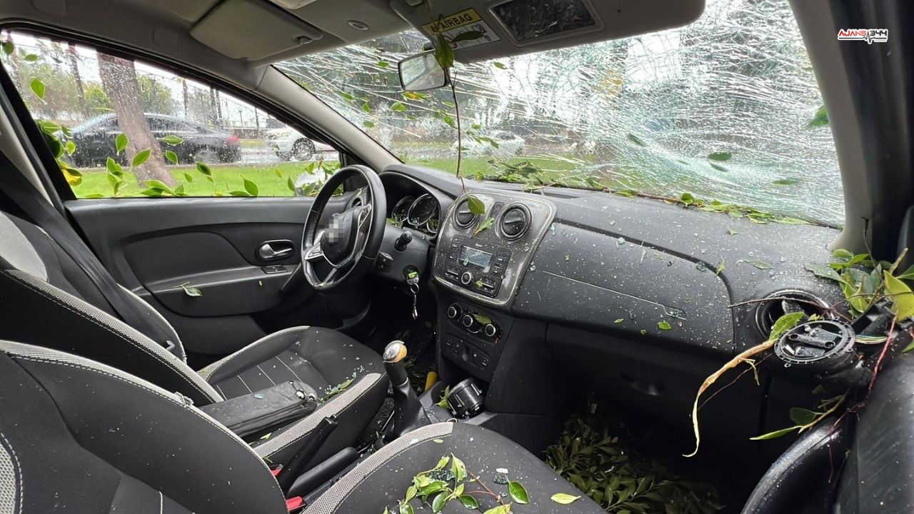 Devrilen Agaçlar Ajans344 (1)