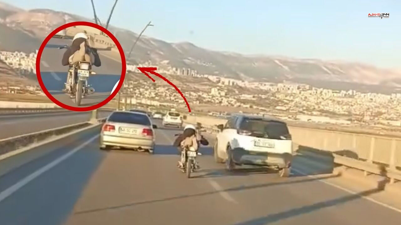 Ela Rümeysa Cebeciii (2)