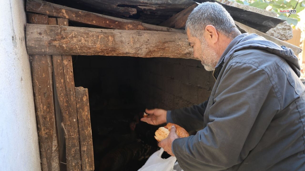 Hindi Satan Adam Ajans344