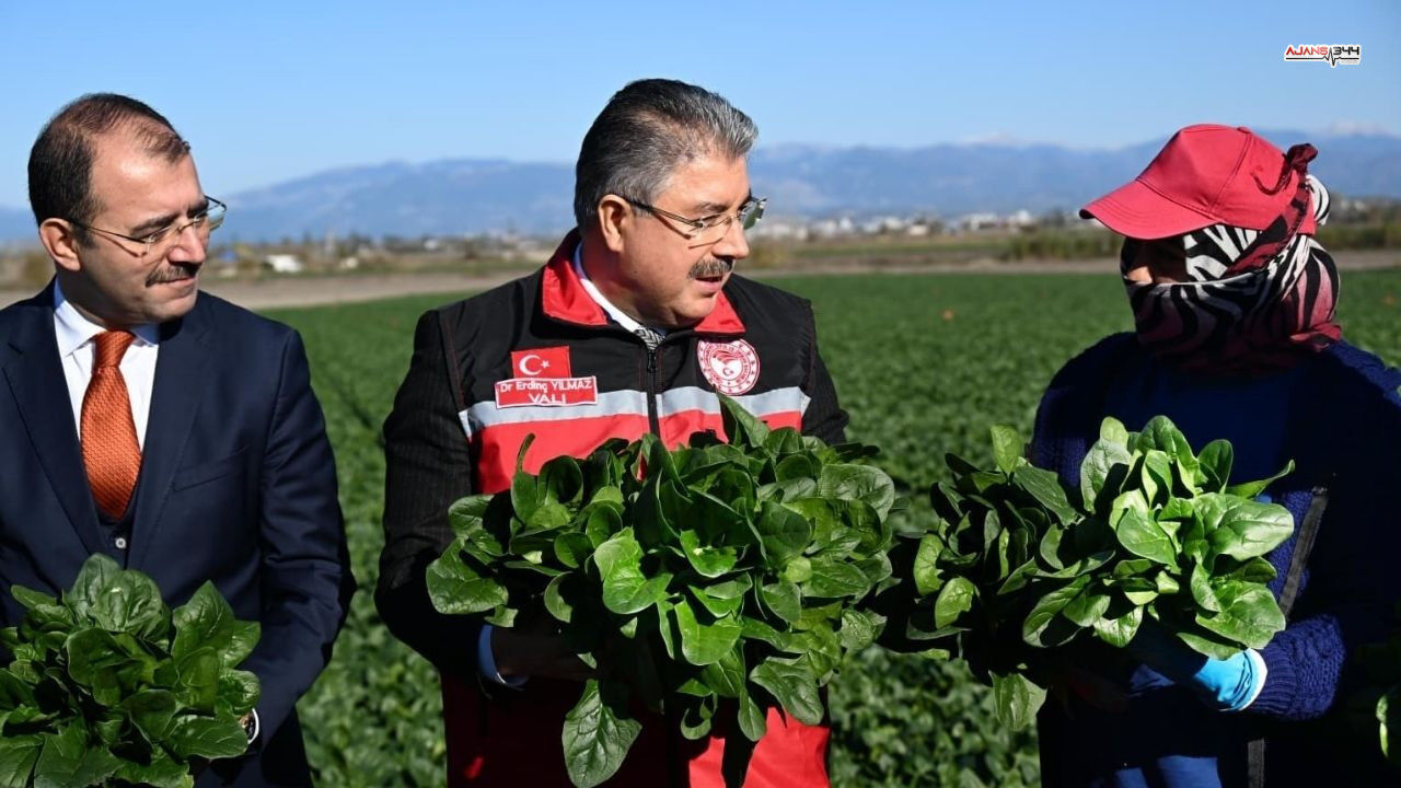 Ispanak Hasadı Basladı Ajans344 (1)