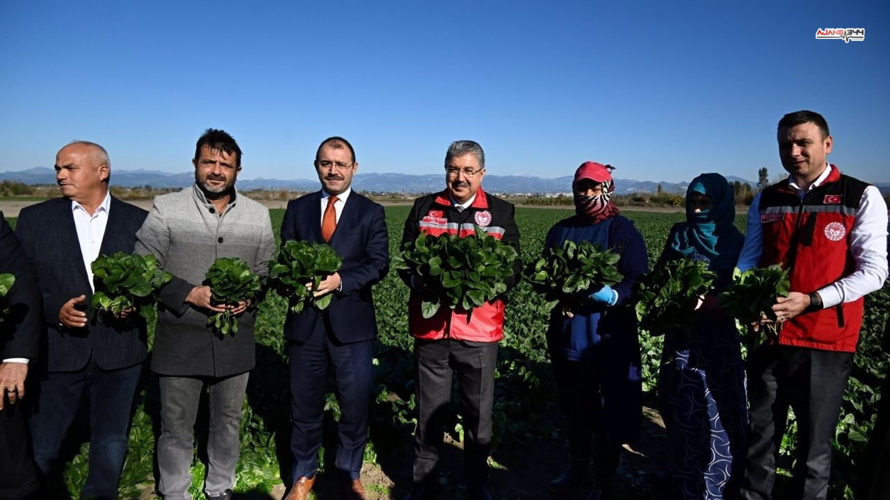 Ispanak Hasadı Basladı Ajans344 (2)