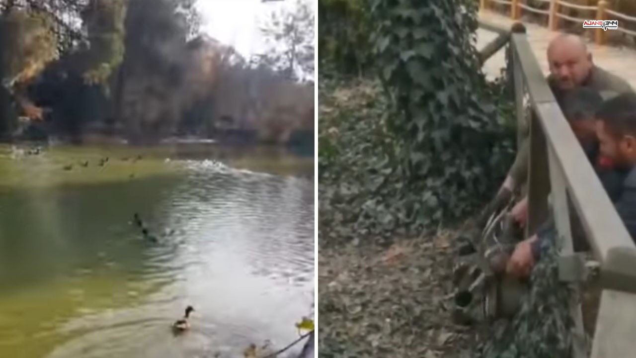 Kaçak Avcılar Yakalandı Ajasn344 (1)