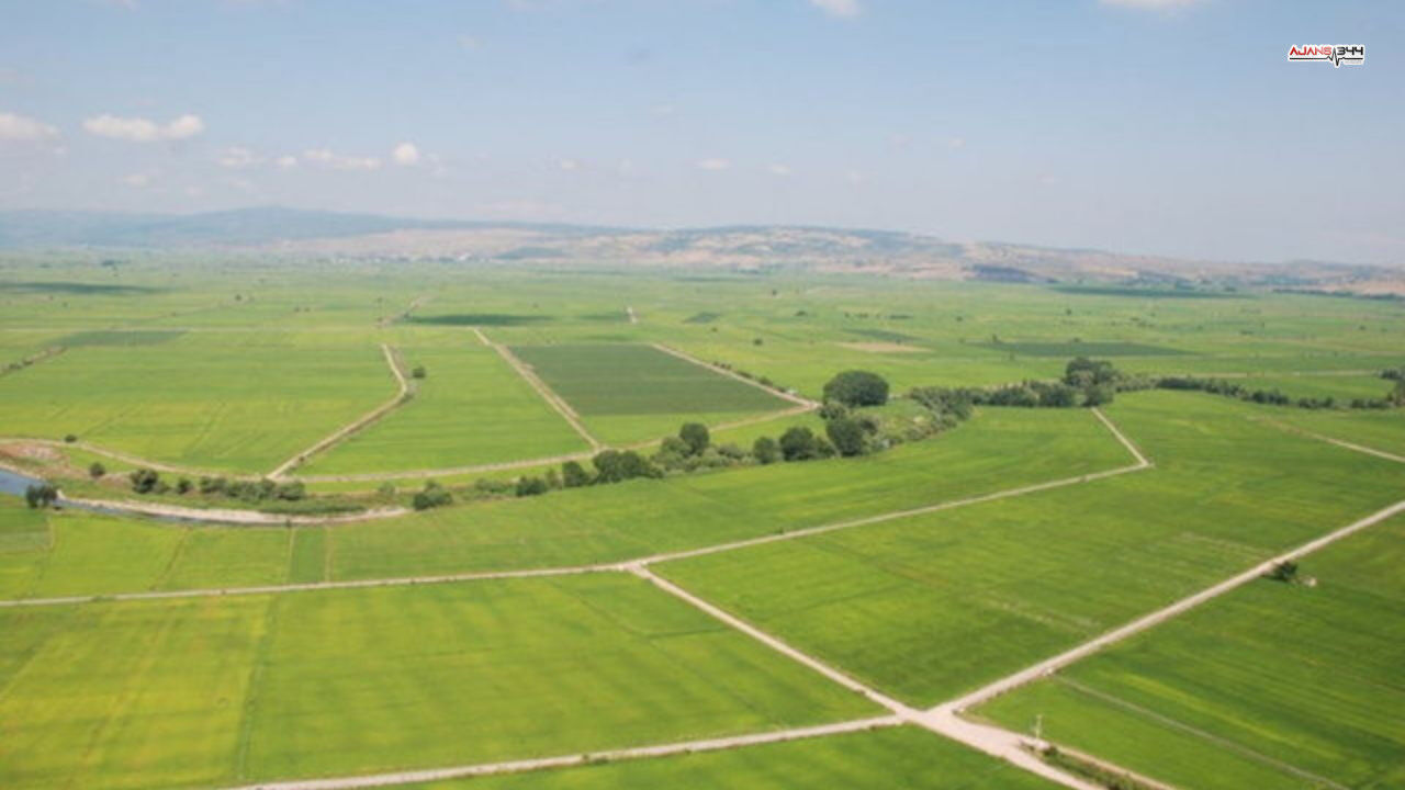 Kahramanmaraş Dahil 37 İlde Toki̇ Arsaları Açık Artırmada Ajans344 (1)