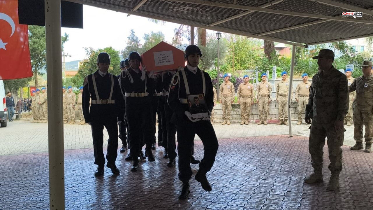 Kahramanmaraş'ta Doğal Beslenmeyen Kedilerin Doğası Bozuldu (1)-1