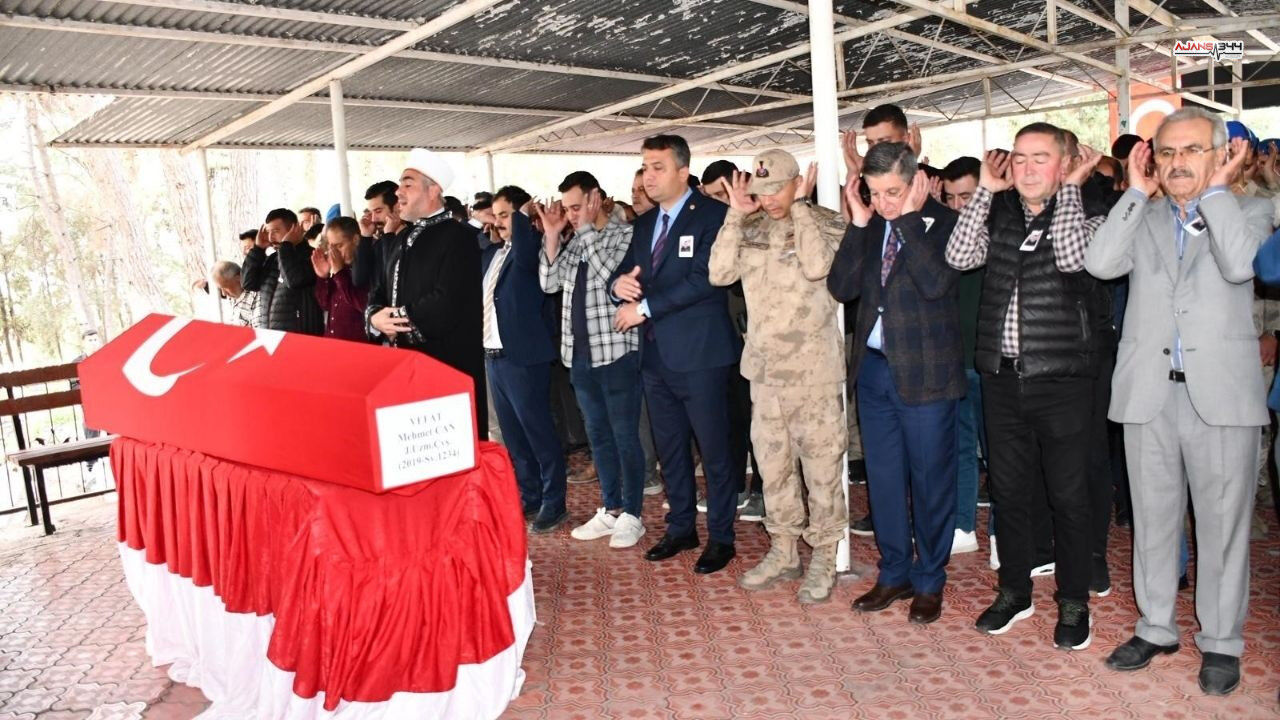 Kahramanmaraş'ta Doğal Beslenmeyen Kedilerin Doğası Bozuldu (3)