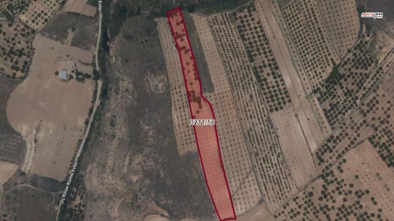 Kahramnamras Kayısı Ajans344 (1)