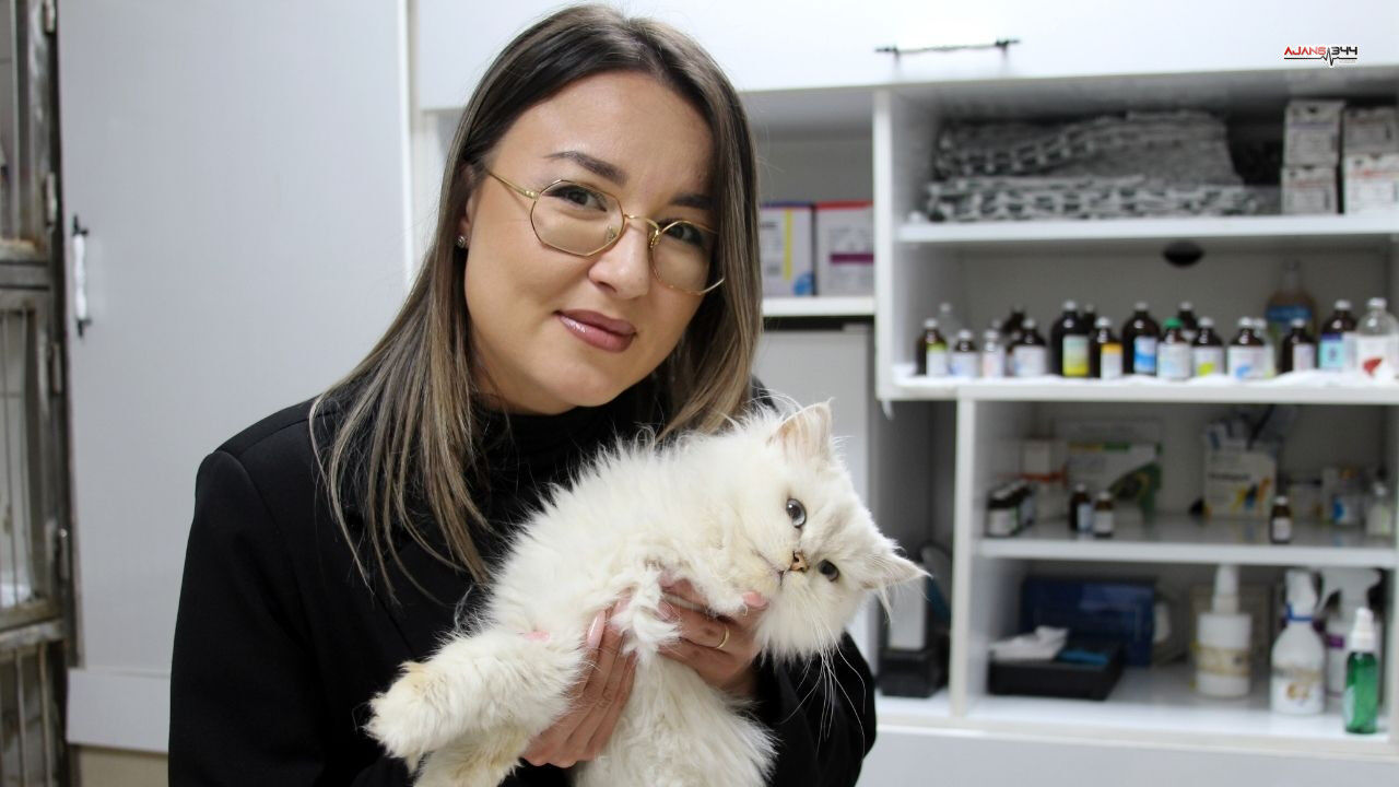 Kedide Sasırtan Bulgu Ajans344 (2)