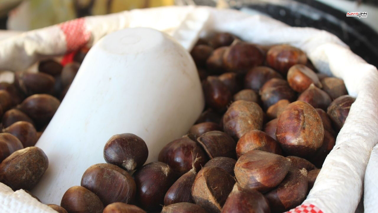 Kestaneci Ajans344 (1)