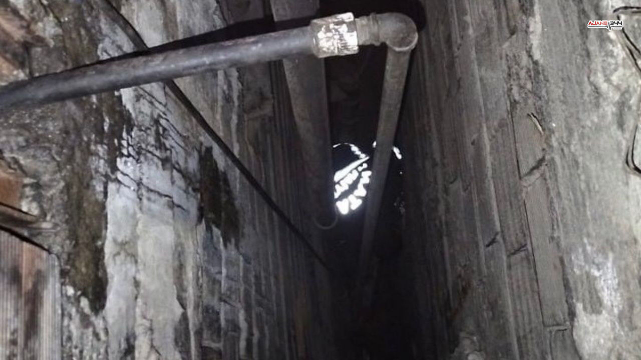 Kurtarılan Yavru Kedi Ajans344 (1)