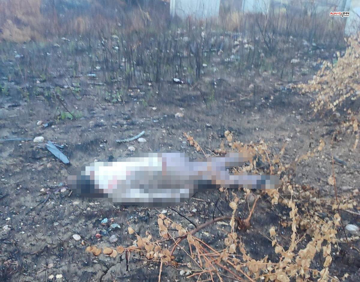 Mersin’de Feci Kaza Araç Köprüde, Sürücü 30 Metre Aşağıda Ölü Bulundu