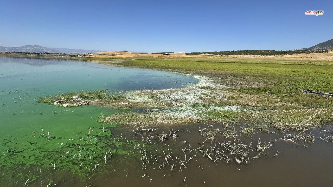 Sir Barajinda Balik Olumleri Endise Yaratti 3