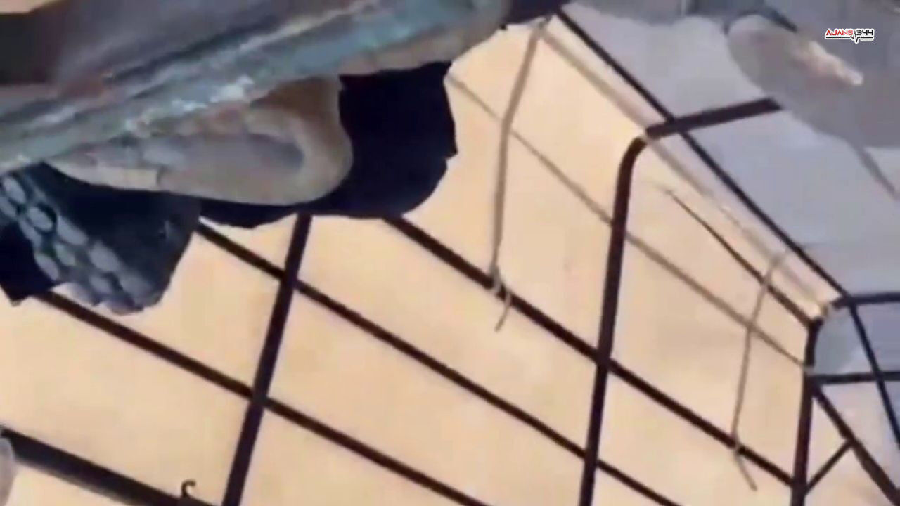 Tavana Saklanan Göçmenler Yakalandı Ajans344 (2)