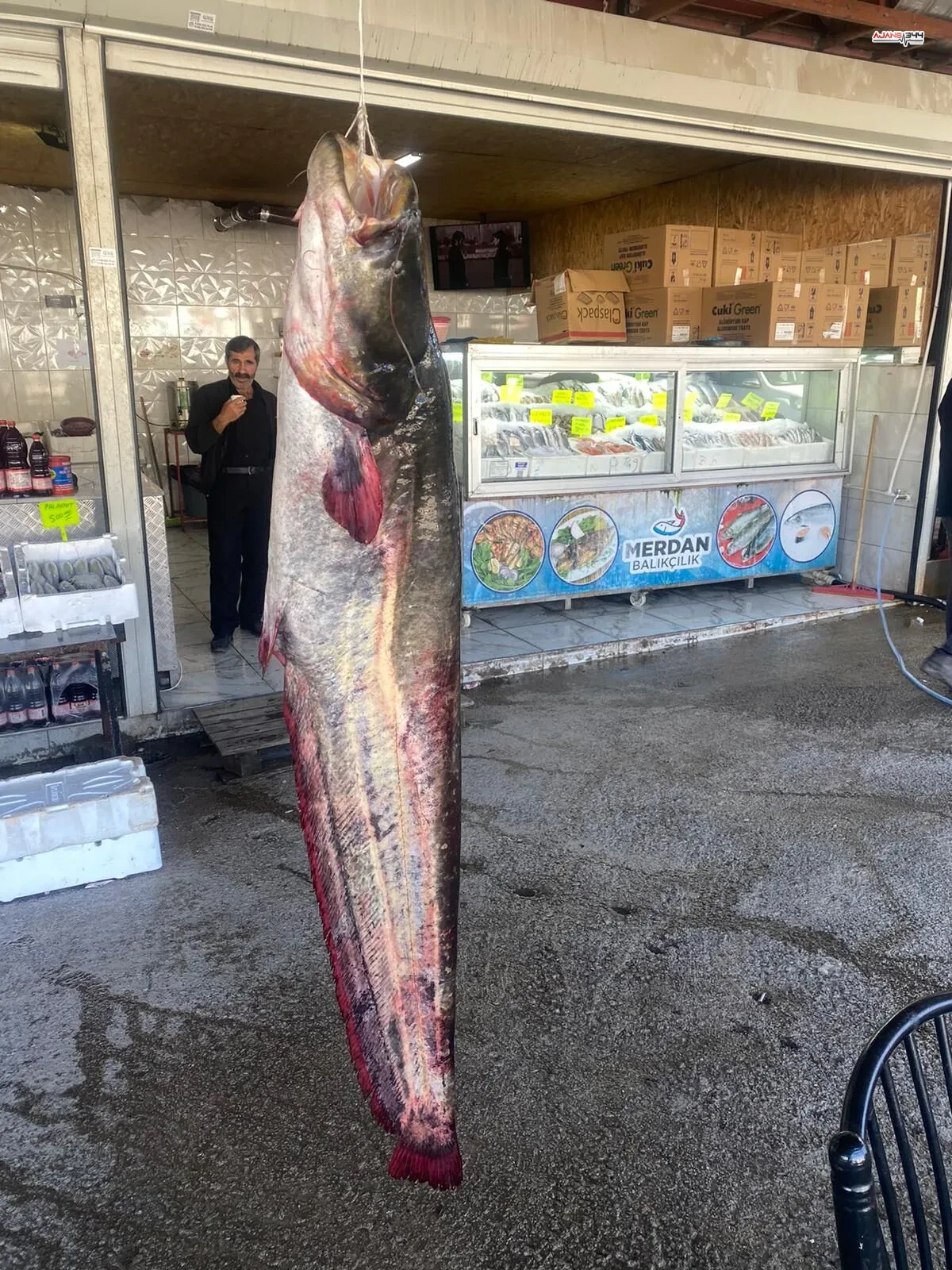 Whatsapp Image 2025 12 17 At 134121