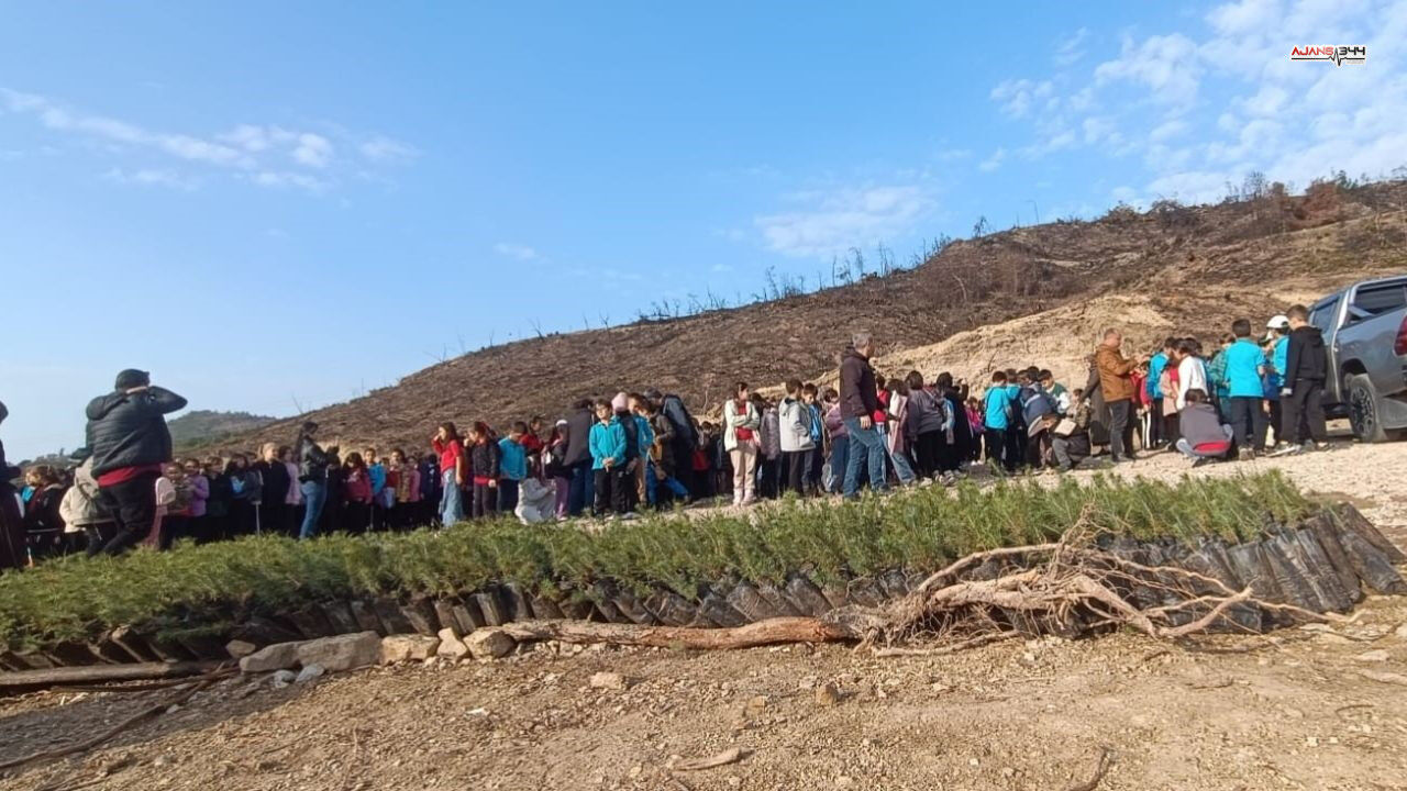 Yanan Yerlere Fidan Dikildi Ajans344 (1)