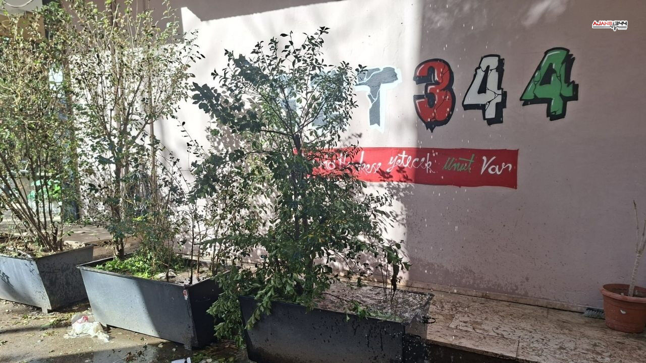 Akan Buzlar Ajanas344 (1)