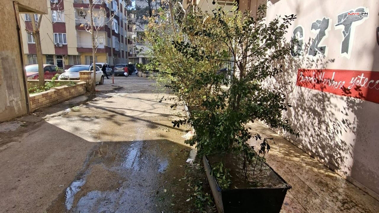 Akan Buzlar Ajanas344 (4)