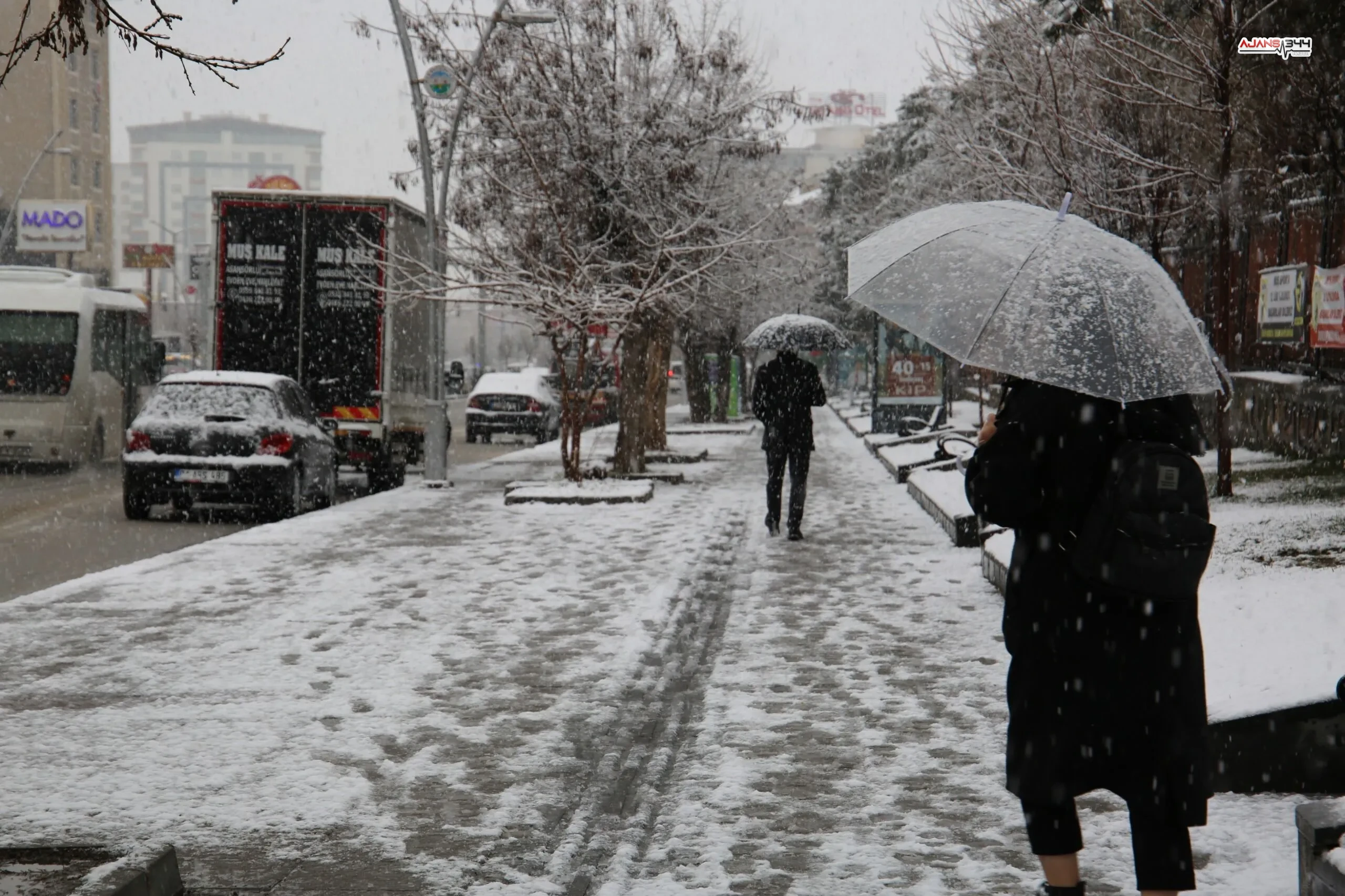 B6Bc614C D3A5 46A4 Ab7B Cfb76Ec322Bf