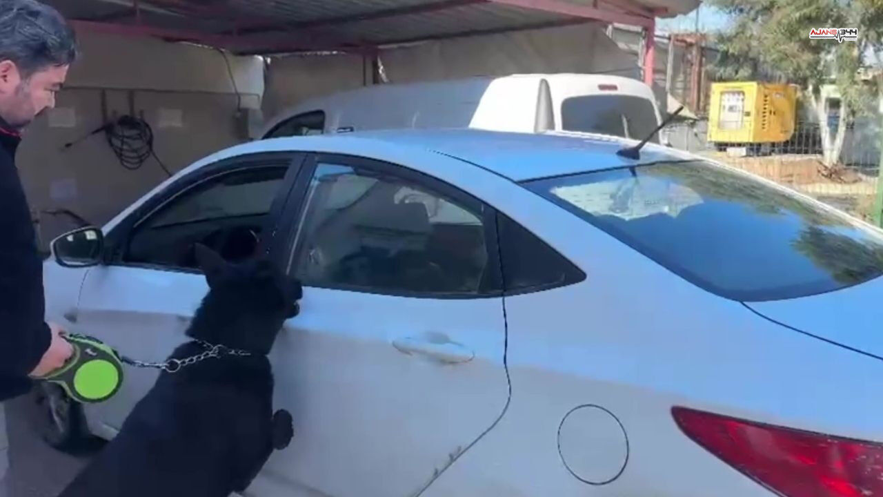 Binlerce Hap Ajanas344 (1)